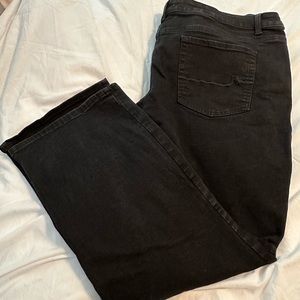 Bootcut Maurices M Jeans. Size 24W. Short length. NWOT.